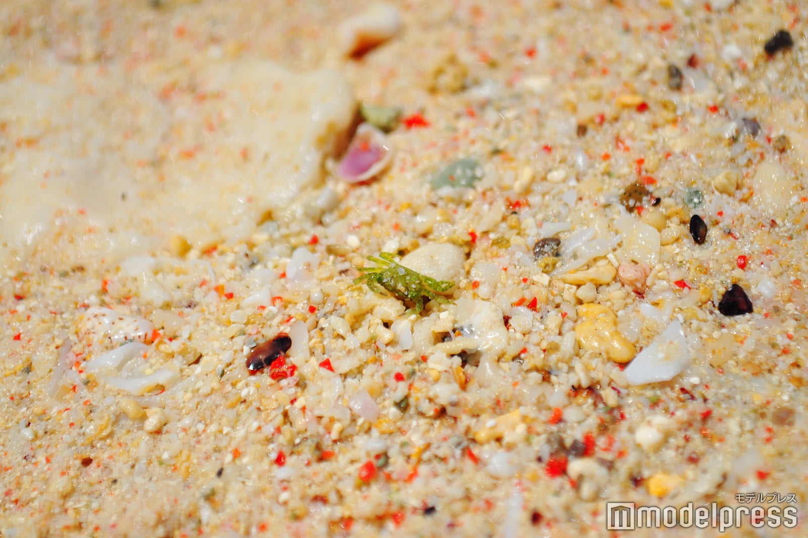 砂に紅い粒が、これがサンゴのかけらなのだとか（C）モデルプレス