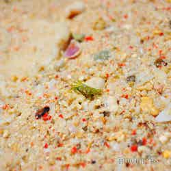 砂に紅い粒が、これがサンゴのかけらなのだとか(C)モデルプレス