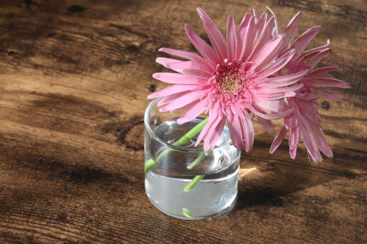 円柱ガラス鉢　使用例