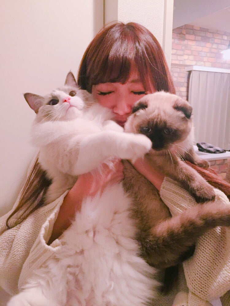 【美女とペット】サイサイひなんちゅ家のもっふもふな「フジヤマ＆こまさん」に癒やされる