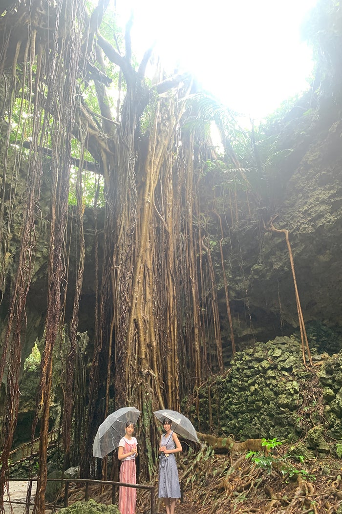 華村あすか、北向珠夕（提供画像）