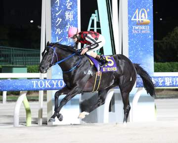 【地方競馬】デイリー盃大井記念 サントノーレが逃げ切り久々の重賞制覇