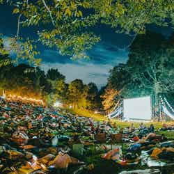 夜空と交差する森の映画祭／画像提供：森の映画祭実行委員会