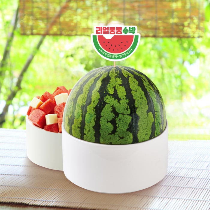 まるまるスイカソルビン（1,600円：税込）※イートインのみ／画像提供：ソルビン