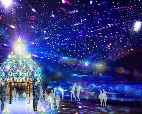 すみだ水族館のイルミネーション、光が織りなす幻想的な海中世界