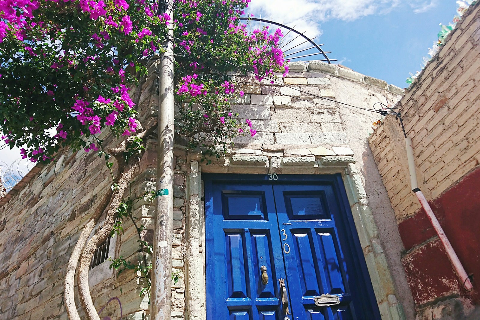 画像提供：所属事務所