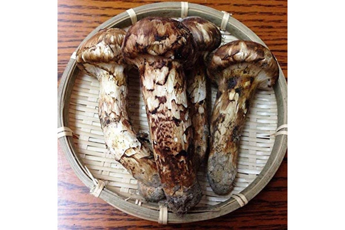 ブータン松茸SHOP（画像出典：＜a