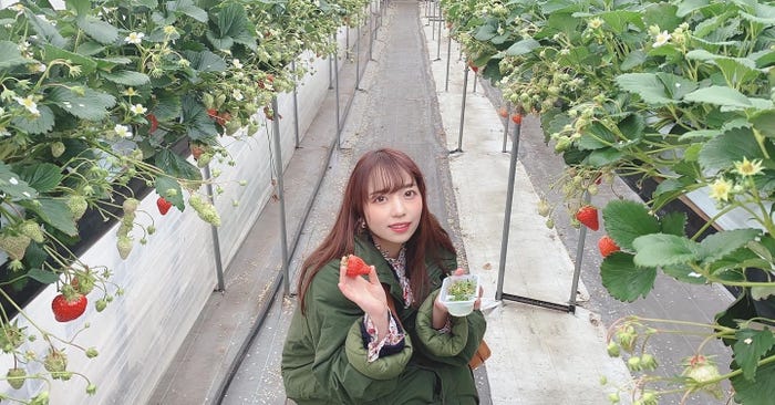 まみむめもちお(提供画像)
