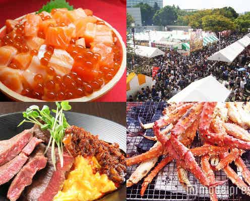 北海道の絶品ごちそうグルメ300種以上のフードフェス 2016年は4日間に拡大