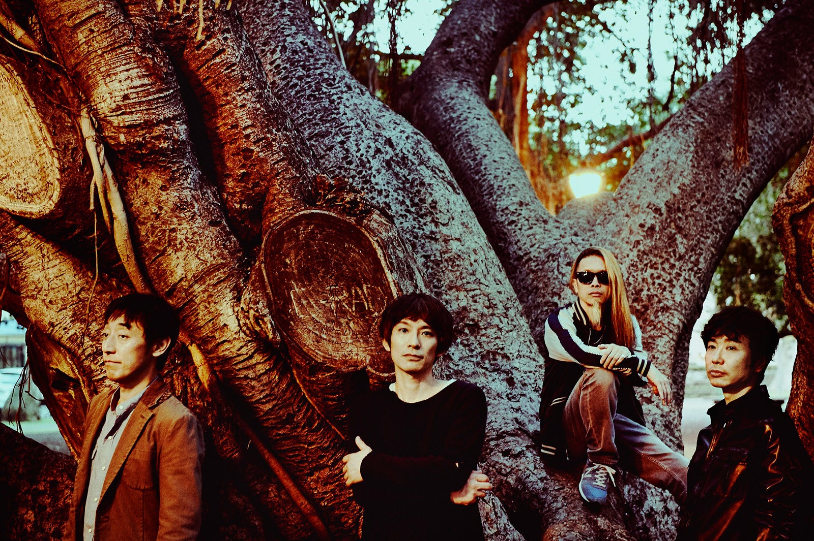 スピッツ（提供写真）