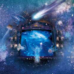 満天の星が降り注ぐ「ナイトワンダーアクアリウム 2017」新江ノ島水族館が神秘的な宇宙空間に／画像提供：新江ノ島水族館