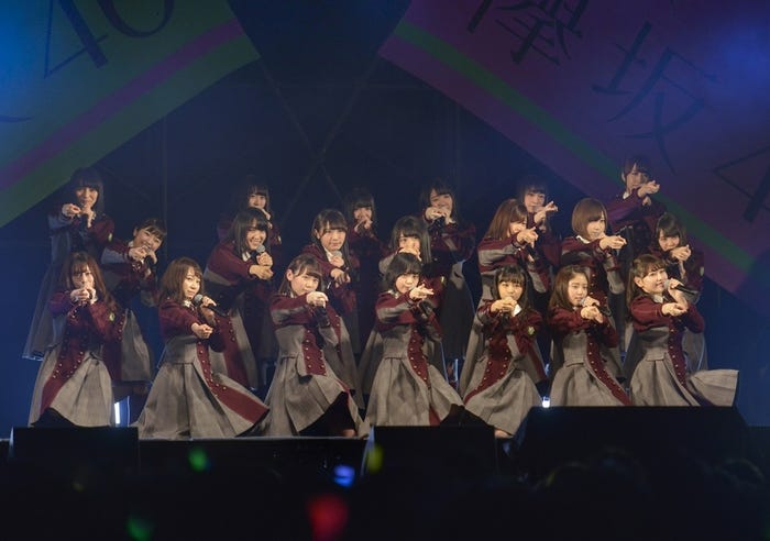 欅坂46(提供写真)