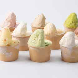 くらすわの森/提供画像