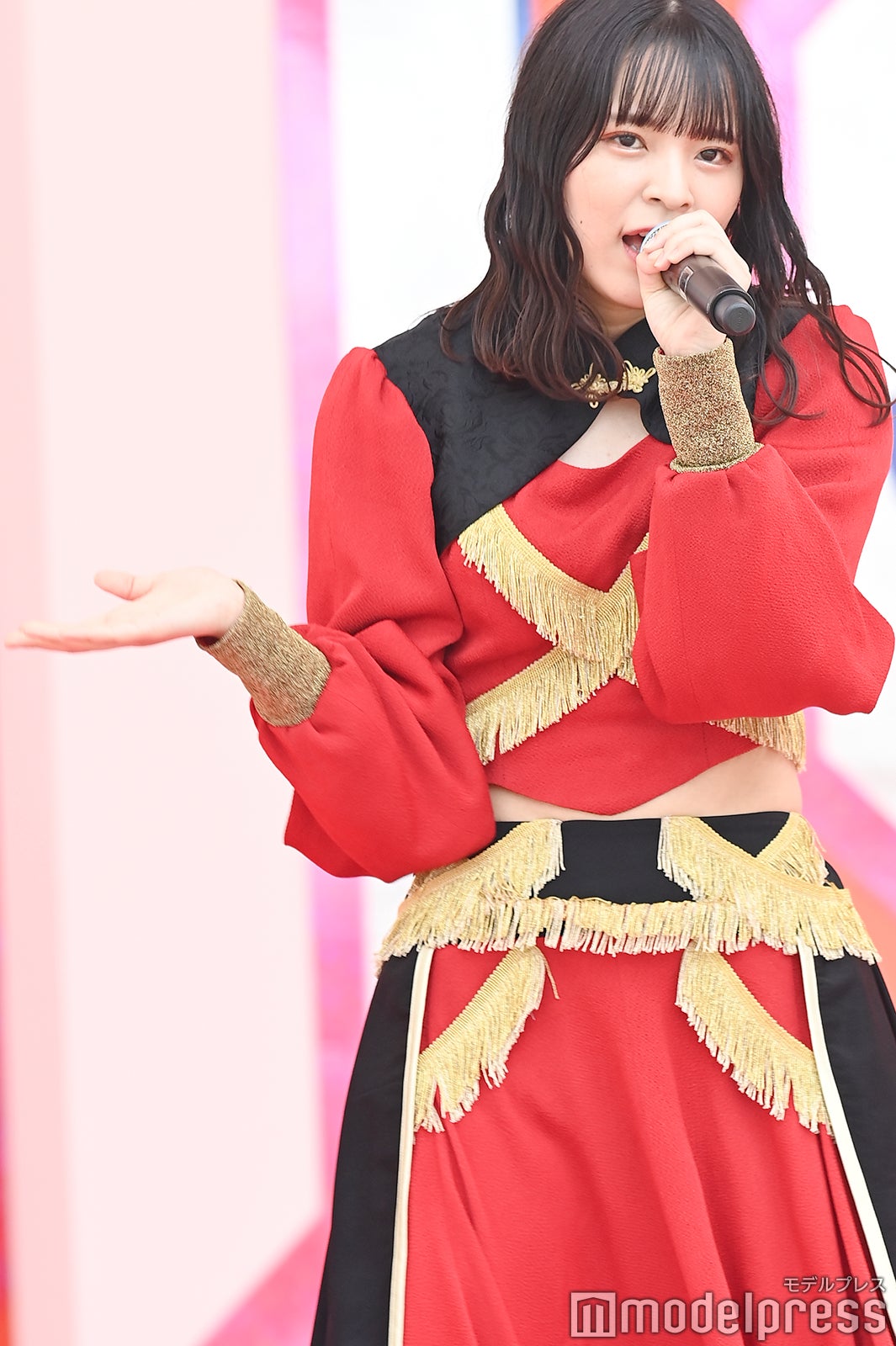 豆柴の大群（C）モデルプレス