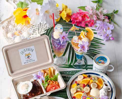 「しばんばん×ハンズカフェ」東京・大阪など4店舗に限定オープン