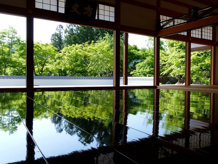 初夏の床もみじ/画像提供:宝徳寺