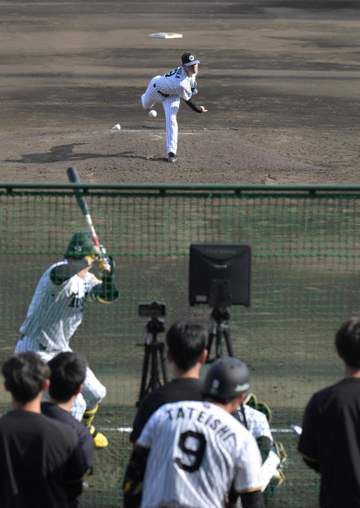 復活目指す阪神・下村海翔 実戦形式での投球再開 立石との“ドラ1対決”も実現 左翼フェンス直撃の長打性の打球