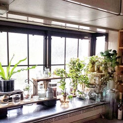 出窓インテリアまとめ 部屋の印象をおしゃれに変えるスペース活用方法 モデルプレス 出窓インテリアまとめ 部屋の印象をおしゃれに変えるスペース活用方法 モデルプレス