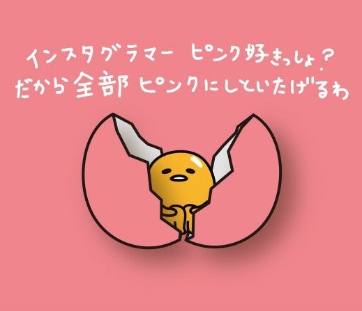 どうせSNSあげるんでしょ？インスタ映えコーナー（C）2013, 2018 SANRIO APPROVAL NO. SP590018 SD・G