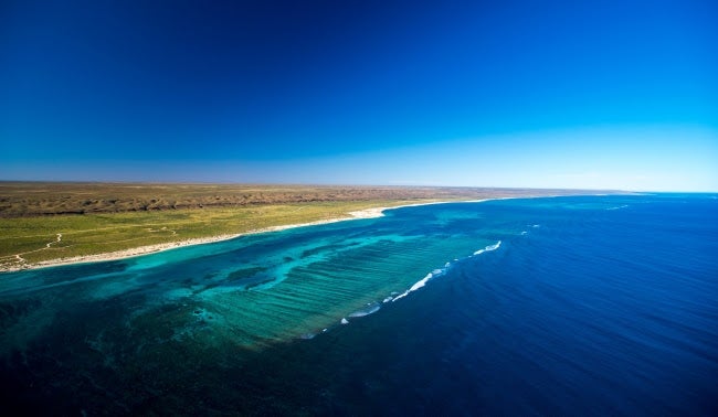 ニンガルーリーフ／画像提供：西オーストラリア州政府観光局