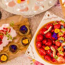 アリスのスイートティーパーティ ~不思議の国のいちご畑~ /画像提供:ツカダ・グローバルホールディング