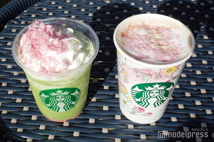 どちらもさくらのフィアンティーヌを使用(C)モデルプレス