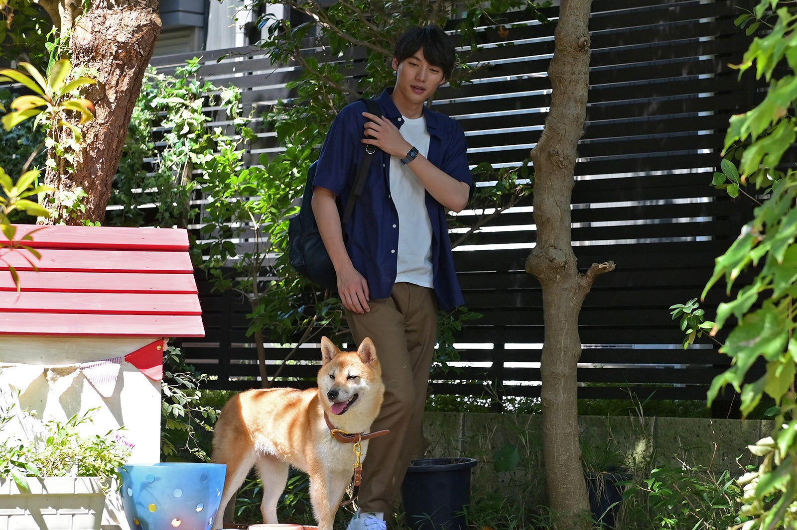 福士蒼汰 （C）TBS