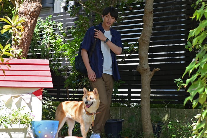 福士蒼汰 (C)TBS