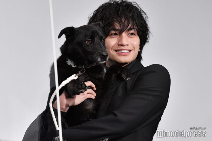 ずっと見つめ合っていた仲良しなクロと中島健人 (C)モデルプレス