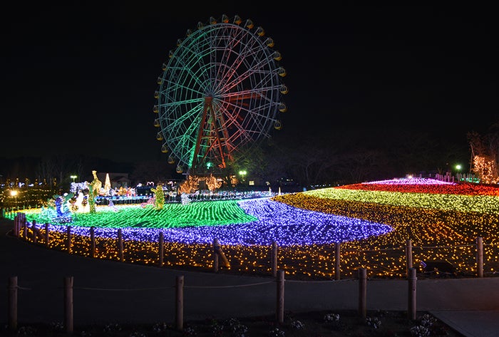 東武動物公園 ウインターイルミネーション19 Led300万球によるエンタメ色満載な光の世界 女子旅プレス