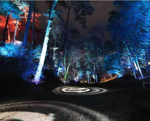 長野・天龍峡の夜だけの美しさを堪能「天龍峡ナイトミュージアム2022」開催