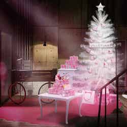 エントランス/画像提供:JILL STUART Beauty