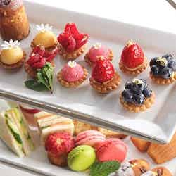 料理イメージ/画像提供:パソナグループ