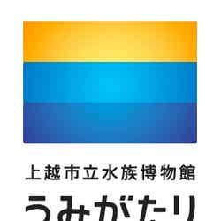 上越市立水族博物館 うみがたり/画像提供:横浜八景島