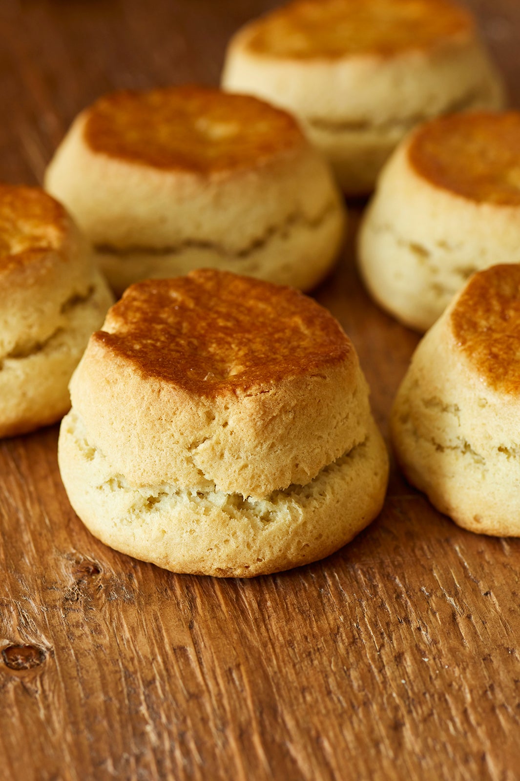 BAKERS gonna BAKE／画像提供：サザビーリーグ　アイビーカンパニー