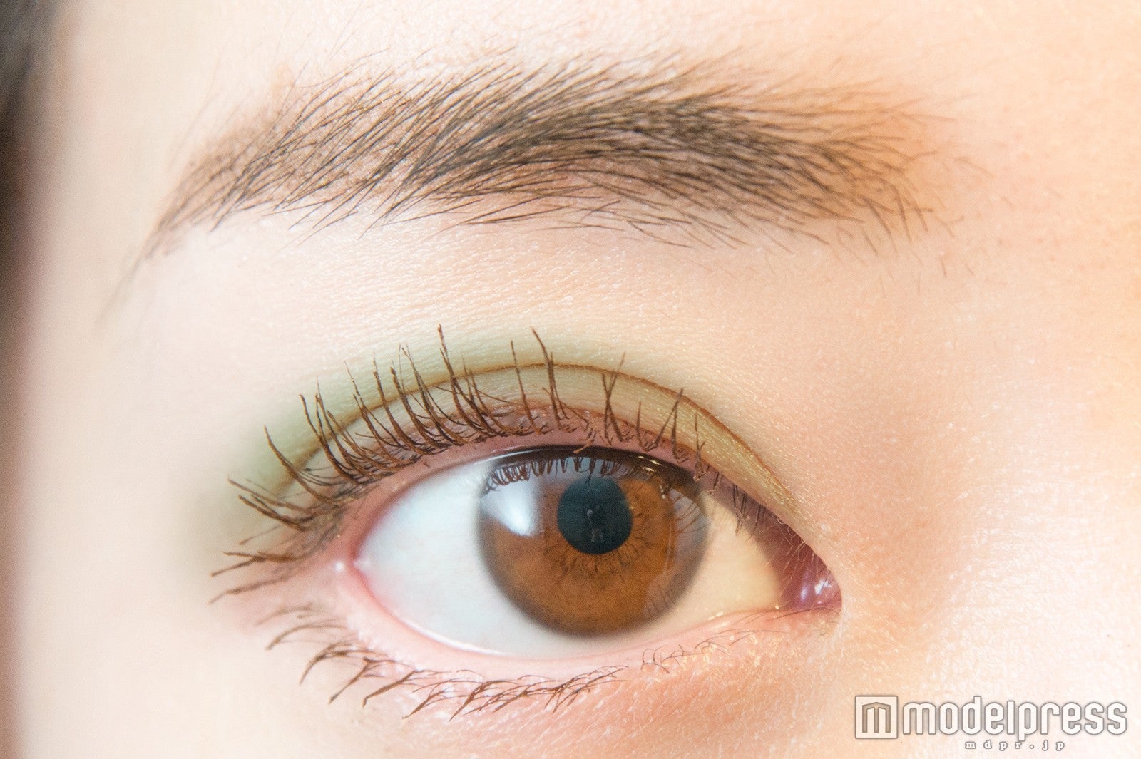 ルナソル マカロングロウアイズ02 Green Tea（C）モデルプレス　※発色イメージ