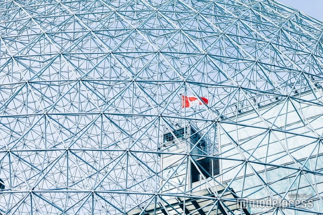 （C）モデルプレス