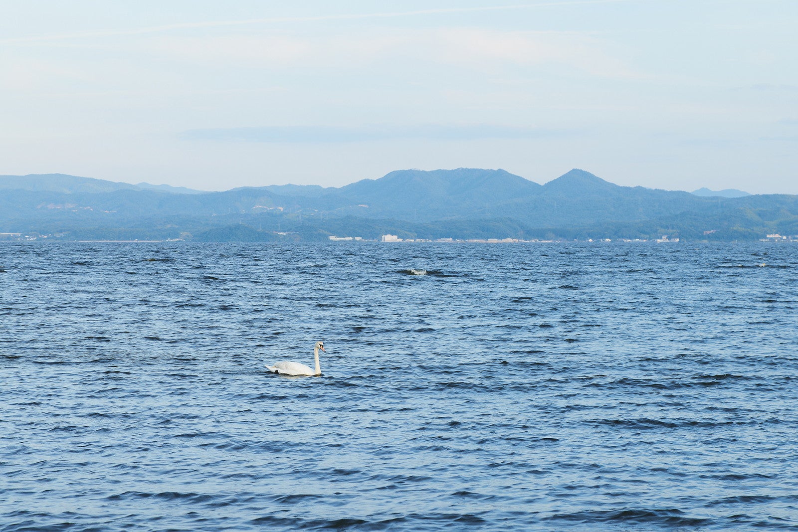 宍道湖／提供画像