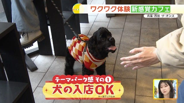 犬も入店できる店内