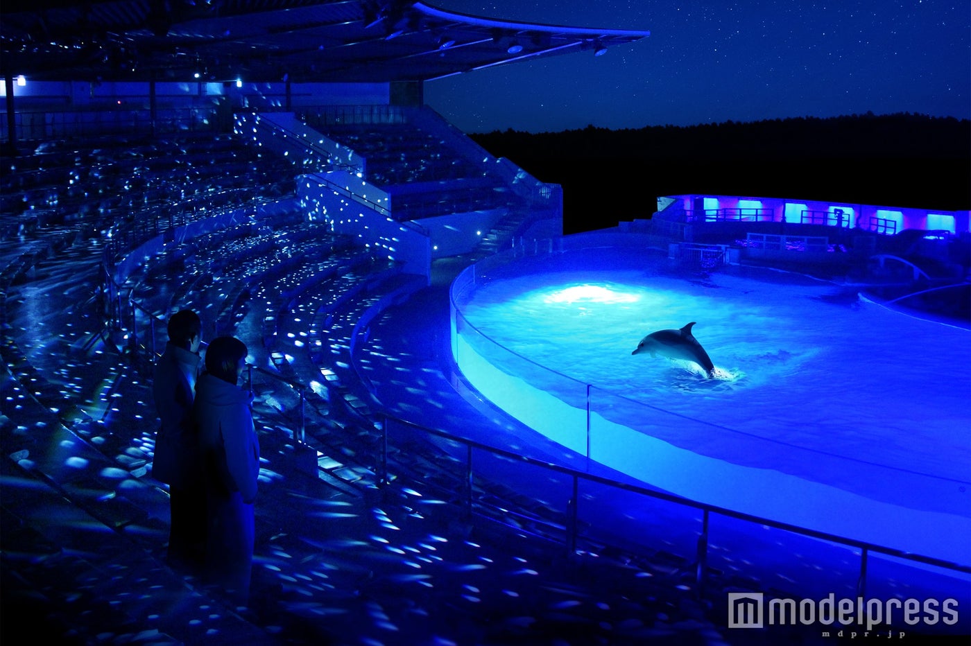 夜デートにも♡京都水族館が青い幻想的な光でライトアップ／画像提供：京都水族館