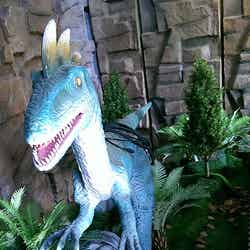 約20体の様々な恐竜がうごめく/画像提供:TKファクトリー