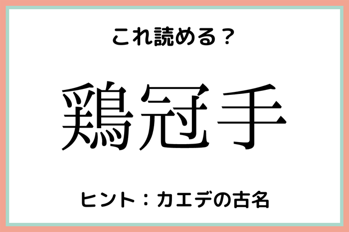 鶏冠手 とりかんて 読めたらスゴイ 難読漢字 4選 モデルプレス