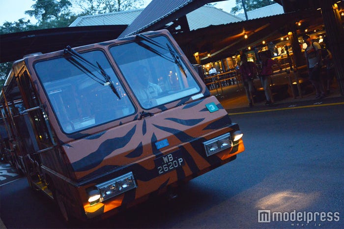 トラムに乗ってナイトサファリへ (C)モデルプレス