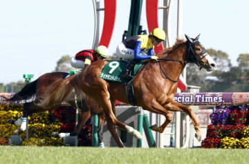 【ファルコンS】ダイヤモンドノット 貫禄レコード重賞2勝目 さすがG1.2着馬！断然人気に応えた NHKマイルCへ手応え