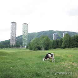 星野リゾート トマム(C)モデルプレス