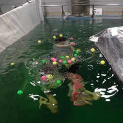 初めて水中でジャケット撮影した乃木坂46