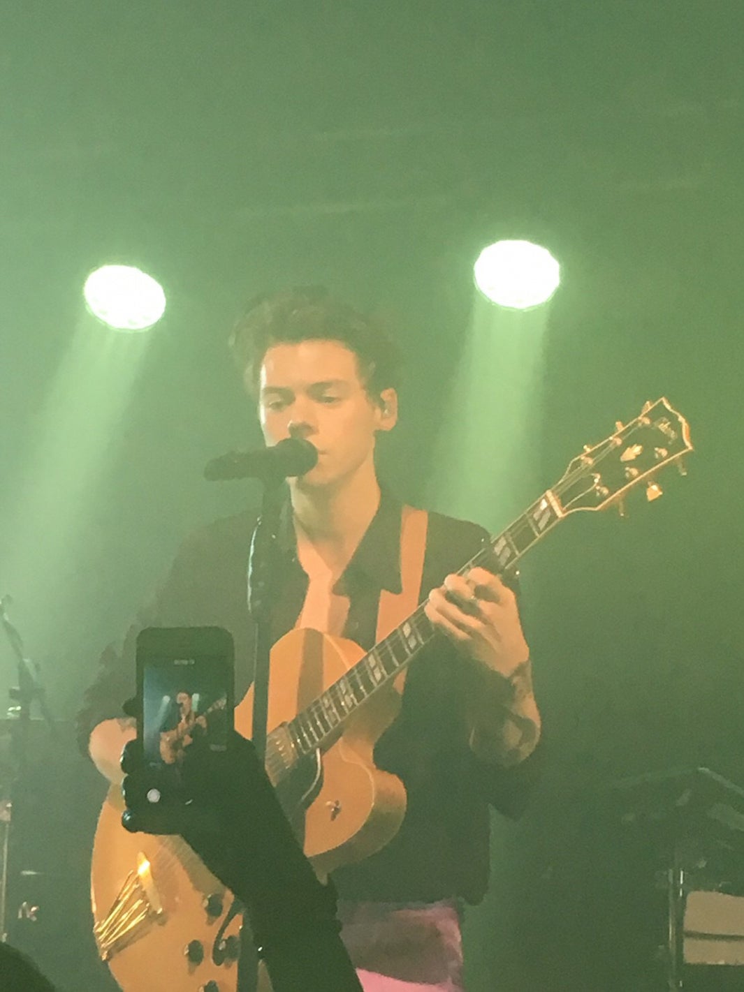 ハリー・スタイルズ（提供画像）