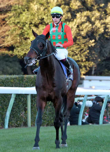 【有馬記念】12番人気コスモキュランダは半馬身差2着 大波乱演出！横山武がしてやったり「後ろがやり合って脚を使う競馬ができればと」