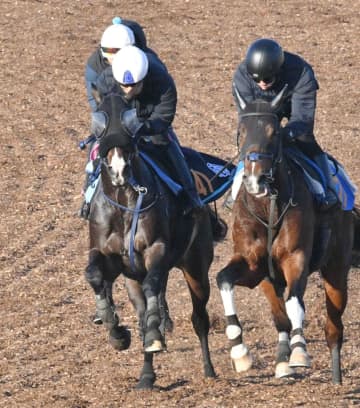 【新馬戦】ランブルスコ 入念な走り込み 蛯名正師はポテンシャル評価「フットワークがきれいで柔らかそうな走り」