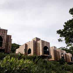 MIRU AMAMI/提供画像